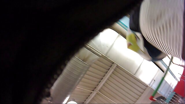 Milf yêu nó từ phía vl xx con sau