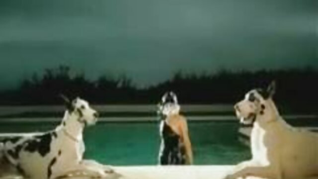 Tìm xx lau xanh kiếm phụ nữ nóng bỏng